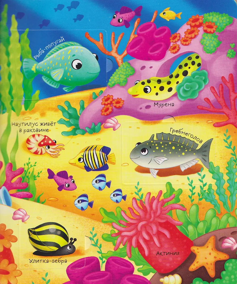 Кто где живет. Книга с окошками фото книги маленькое 4