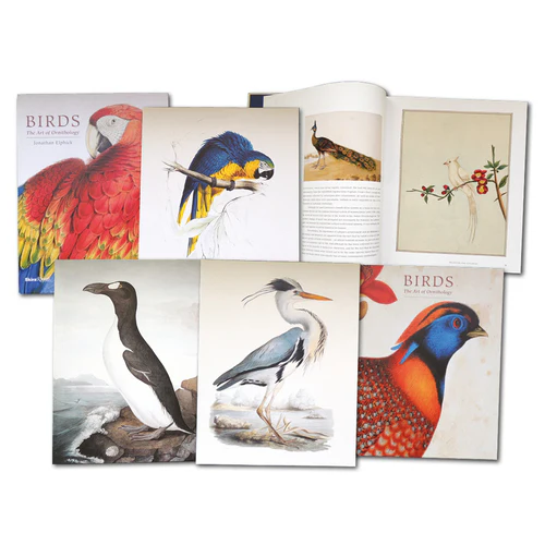Birds: The Art of Ornithology (Boxed Set) фото книги маленькое 3