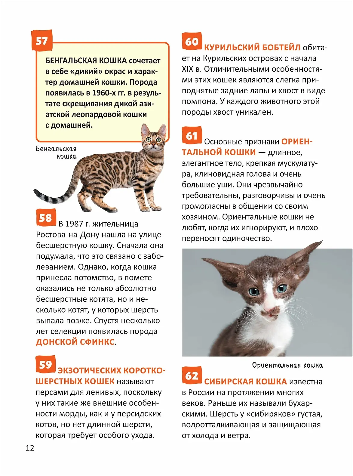 Кошки и собаки. Энциклопедия российского школьника фото книги маленькое 5