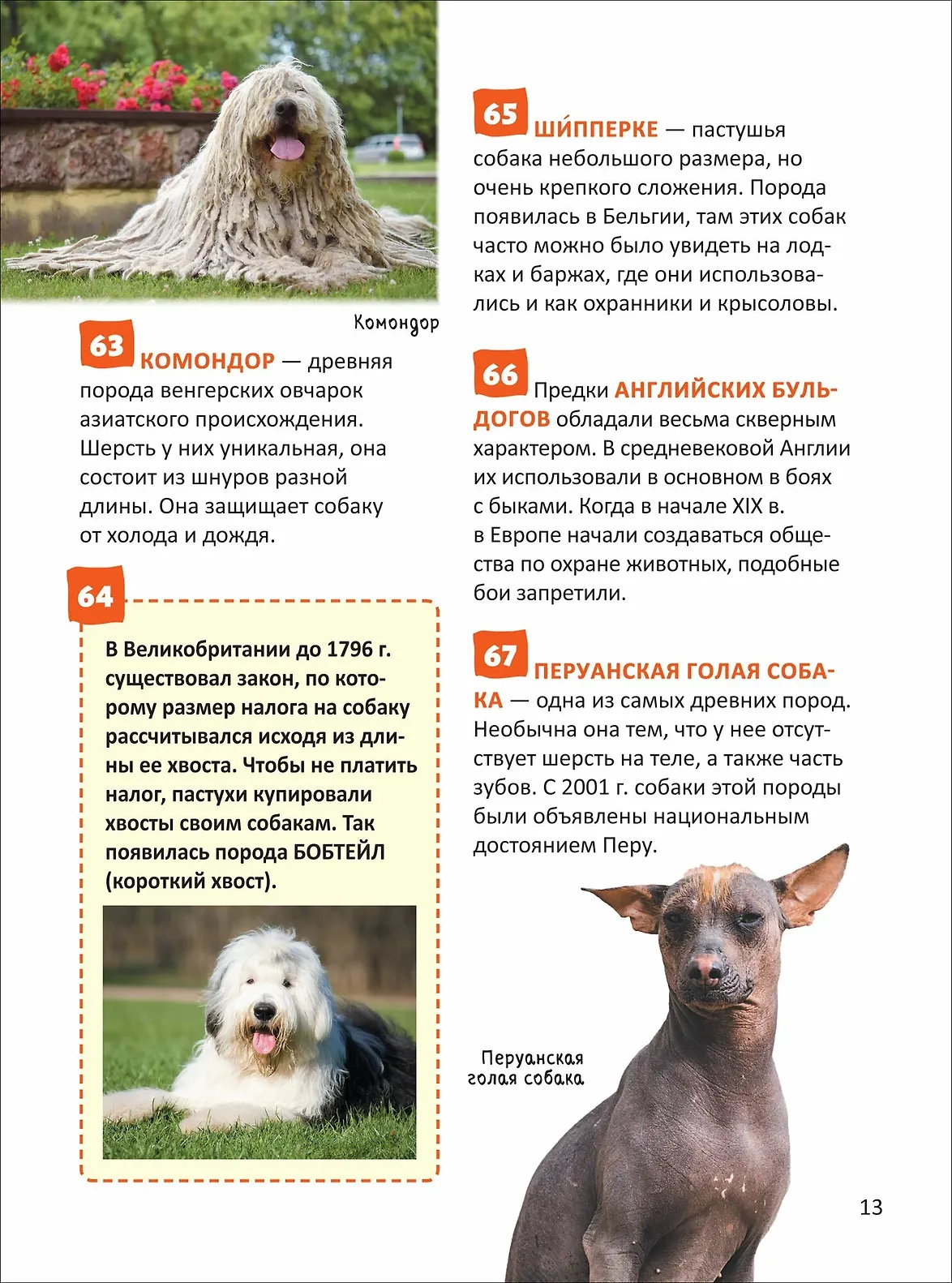 Кошки и собаки. Энциклопедия российского школьника фото книги маленькое 6