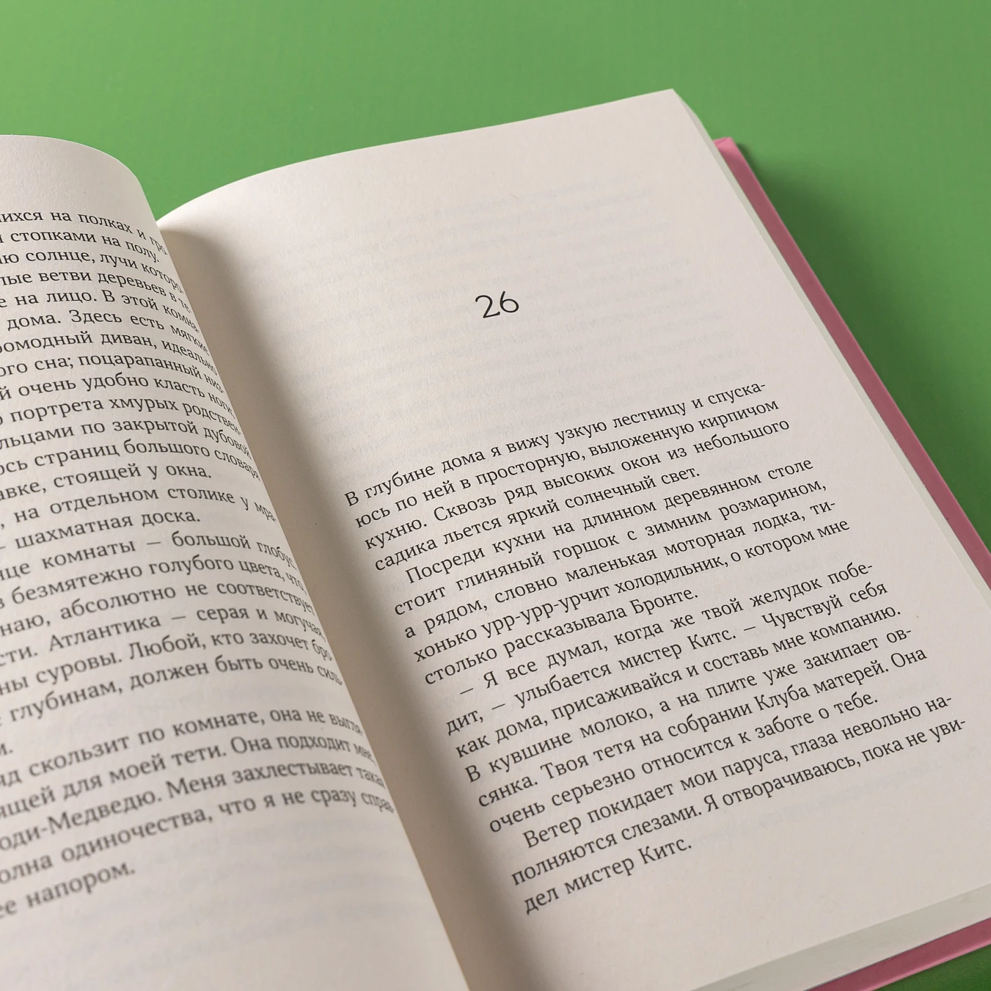 Секрет медового пирога фото книги маленькое 5