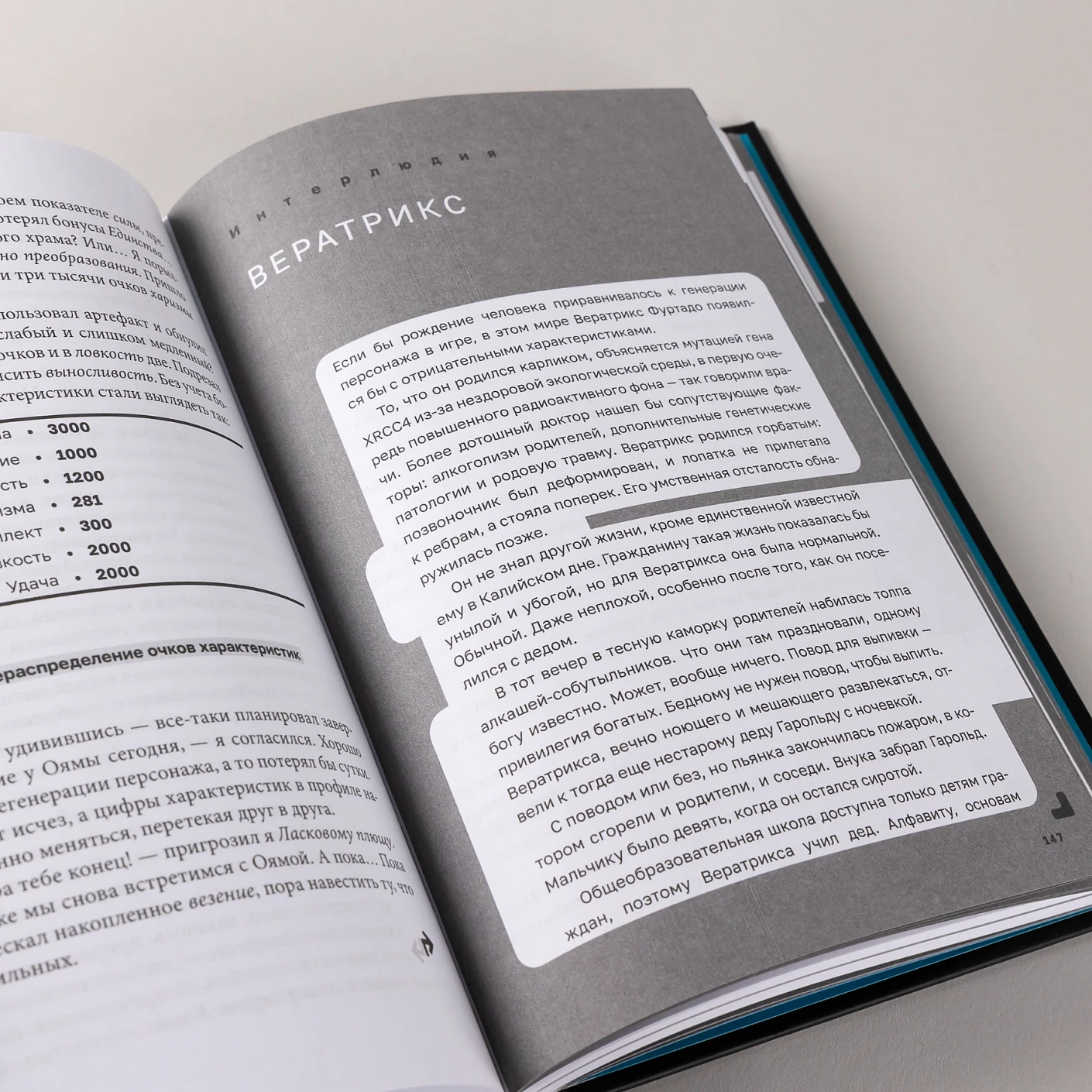 Дисгардиум. Книга 6. Путь духа фото книги маленькое 5