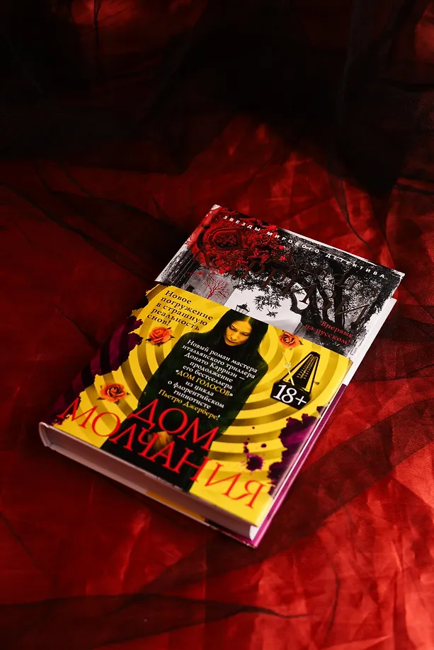 Дом молчания фото книги маленькое 19