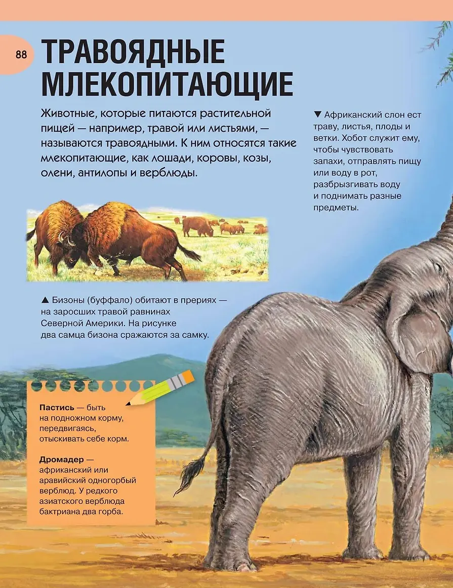 Большая энциклопедия знаний фото книги маленькое 9