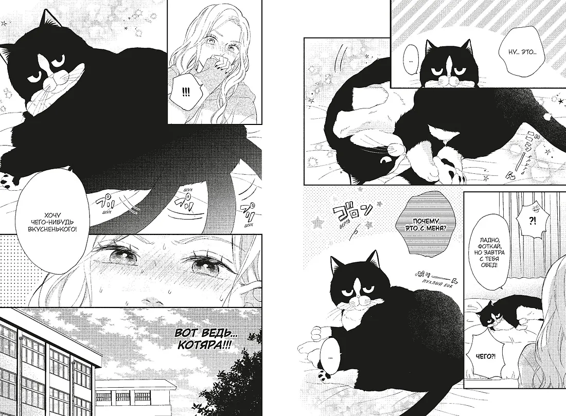 Кот и поцелуй. Том 2. Манга фото книги маленькое 7