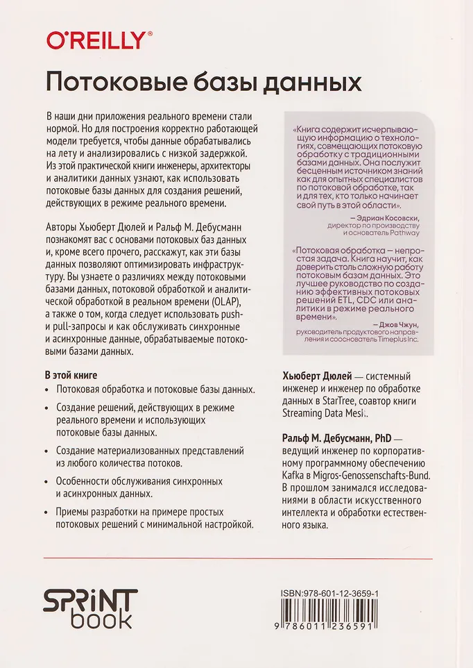 Потоковые базы данных. Объединение пакетной и потоковой обработки фото книги маленькое 3