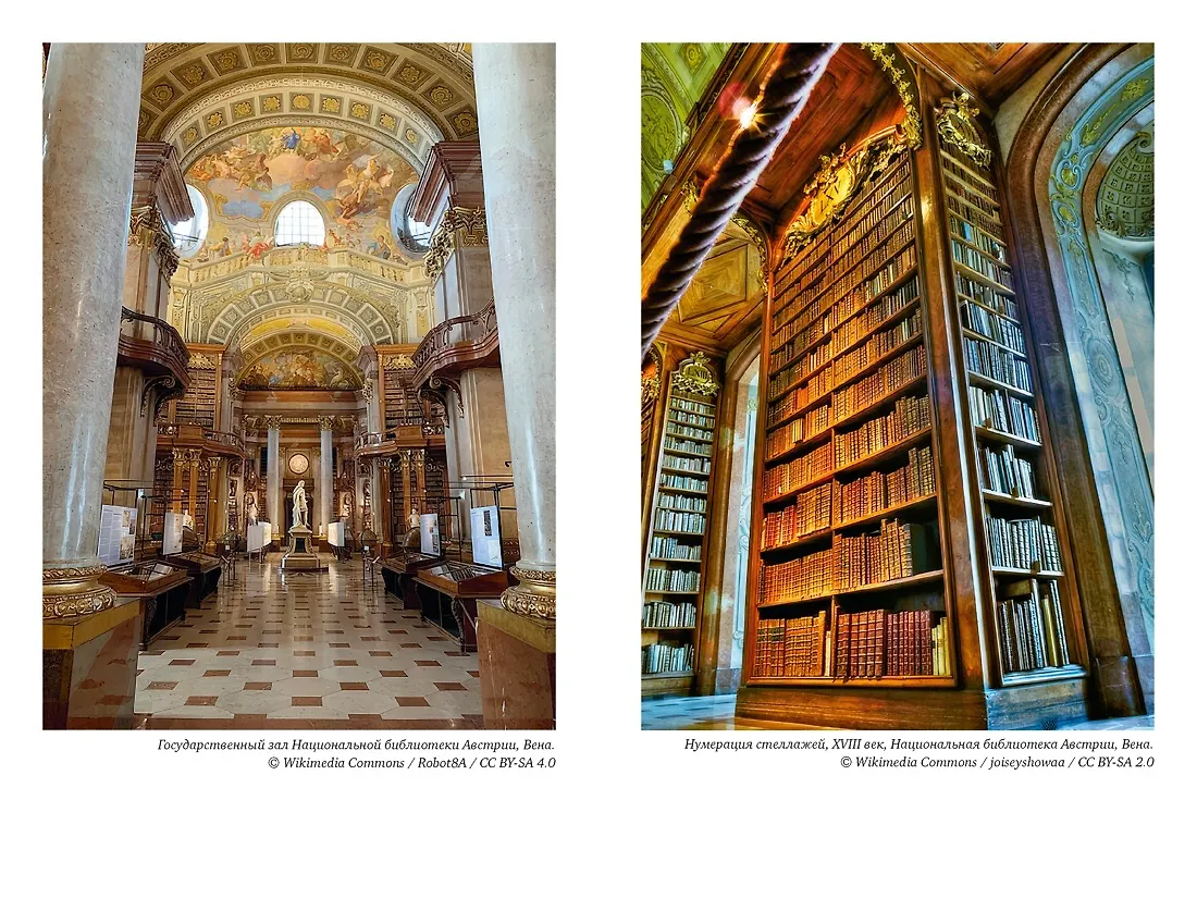 История библиотек: Коллекционеры. Тексты. Здания фото книги маленькое 5