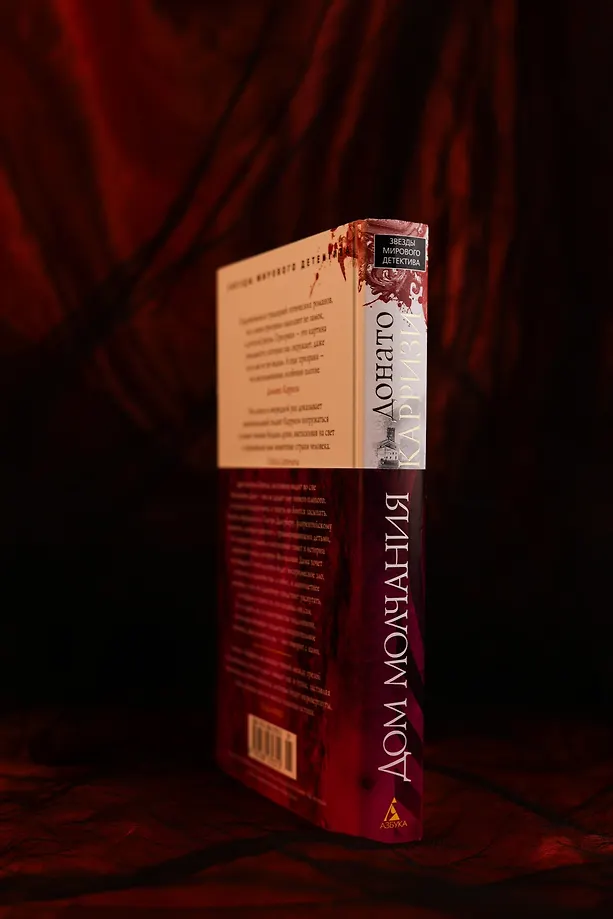 Дом молчания фото книги маленькое 20