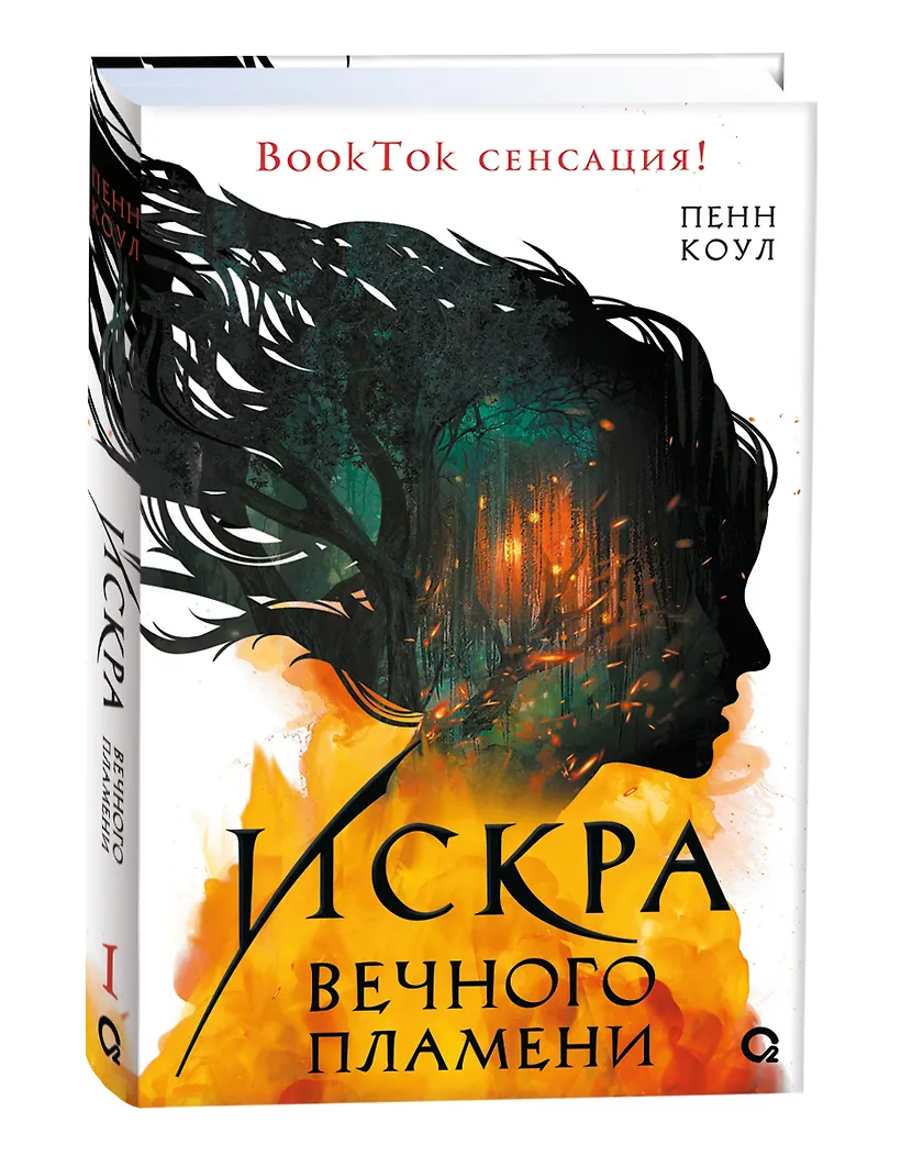 Искра вечного пламени фото книги маленькое 5