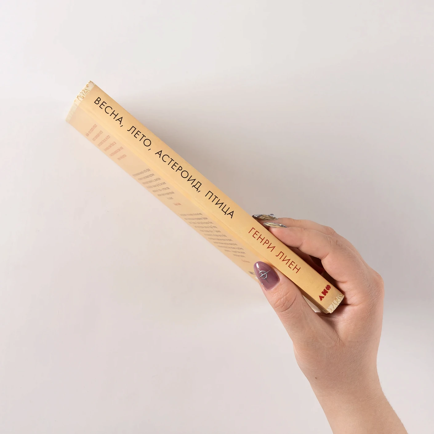 Весна, лето, астероид, птица.  Искусство восточного сторителлинга фото книги маленькое 4