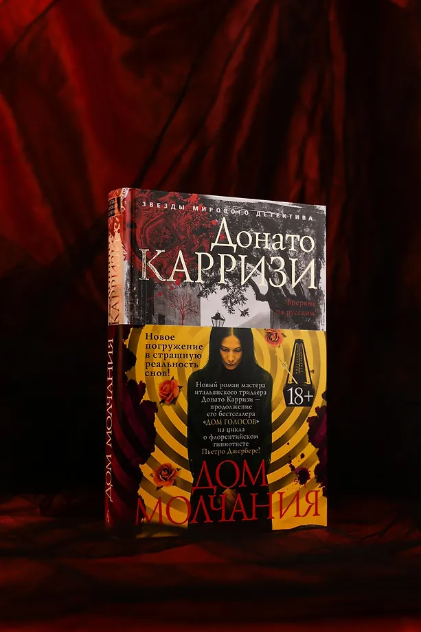 Дом молчания фото книги маленькое 17