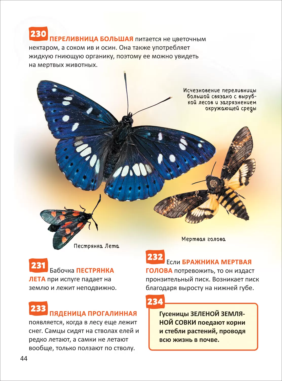 Красная книга. Энциклопедия российского школьника фото книги маленькое 7