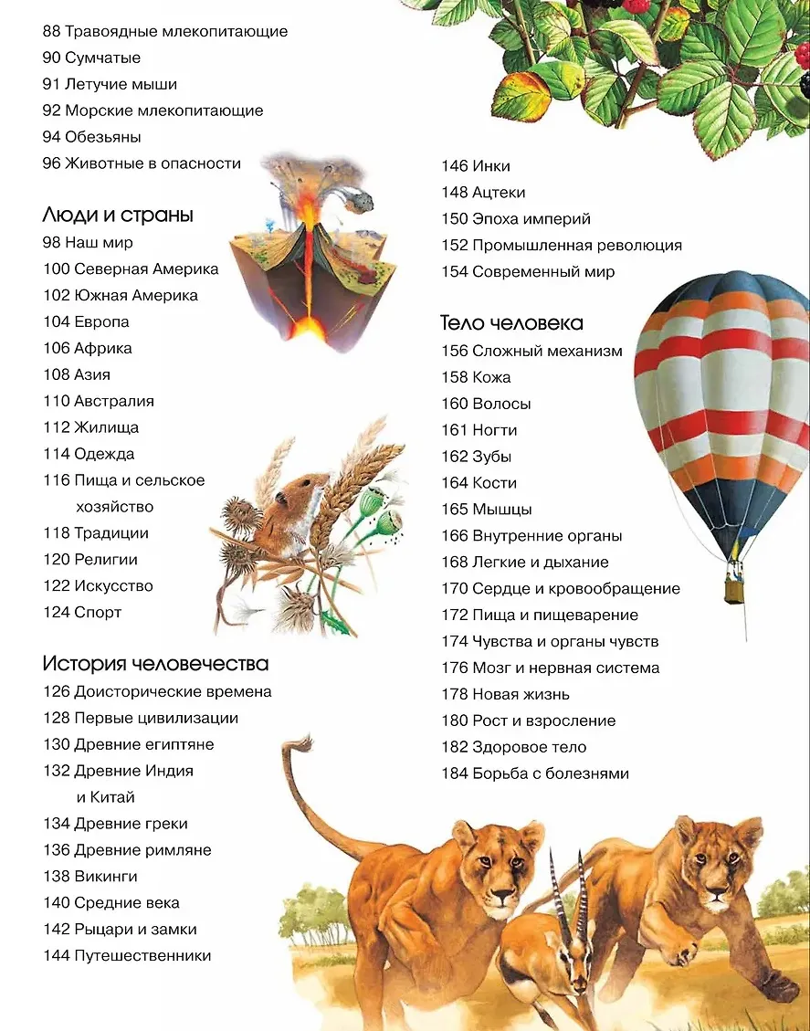 Большая энциклопедия знаний фото книги маленькое 5