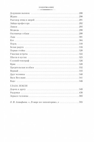 Кладовая солнца. Повести, рассказы фото книги 3