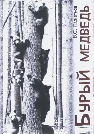Бурый медведь фото книги