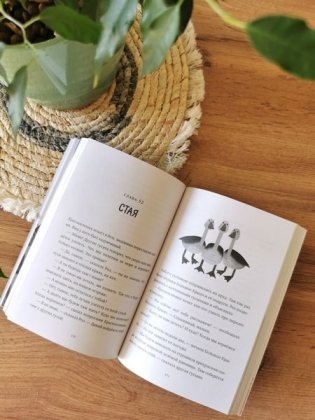 Дикий робот (Paperback) фото книги 7