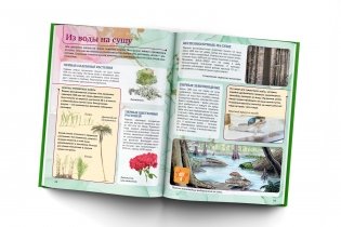 Живой мир фото книги 4