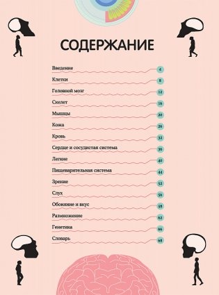 Тело человека. Визуальный гид фото книги 4