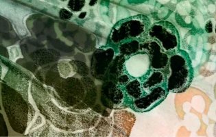 Flowers of Yves Saint Laurent фото книги 2