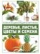 Деревья, листья, цветы и семена фото книги маленькое 2