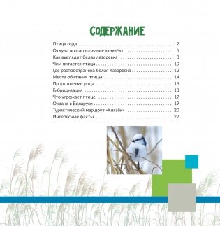 Птица года Беларуси. Белая лазоревка фото книги 8