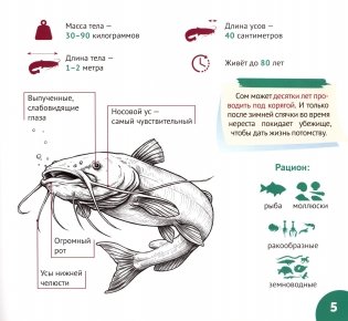 Реки и озёра Беларуси фото книги 6