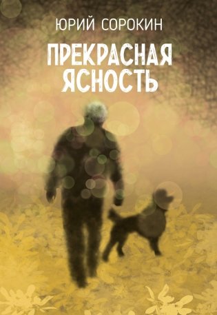 Прекрасная ясность фото книги