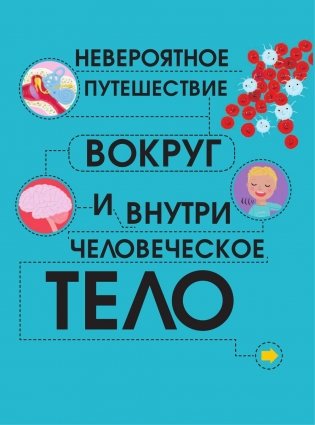 Человеческое тело. Невероятное путешествие вокруг и внутри фото книги 2