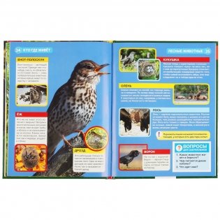 Кто где живет? фото книги 4