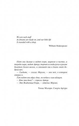 Ведьмак. Владычица Озера фото книги 5