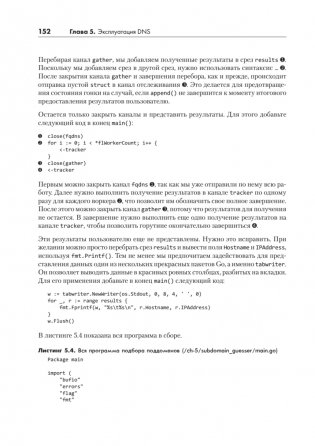 Black Hat Go: Программирование для хакеров и пентестеров фото книги 21