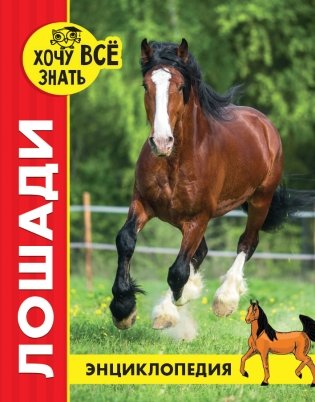 Энциклопедия. Лошади фото книги