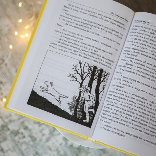 Пес по имени Мани фото книги 5