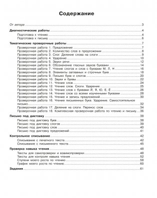 Обучение грамоте. 1 класс. Тетрадь для проверочных работ фото книги 9