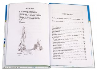 Лирика фото книги 5