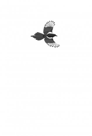 Пандора фото книги 2