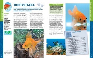 В мире животных. Энциклопедия фото книги 3