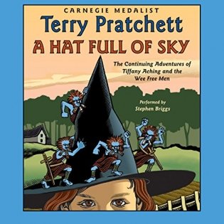 А Hat Full of Sky фото книги