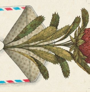 Ідэальны момант фото книги 2