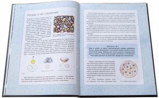 Игорь Курчатов. Секрет Бороды фото книги 3