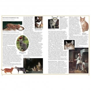 Загадки животного мира фото книги 5