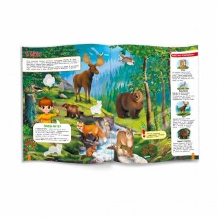 Атлас России с наклейками. Моя большая страна (100 наклеек) фото книги 3