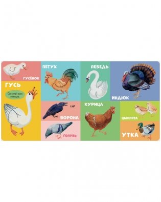 Книжки-картонки. 100 животных фото книги 5