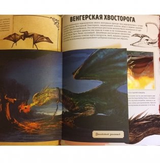 Волшебный мир Джоан К. Роулинг. Том второй. Фантастические существа фото книги 2