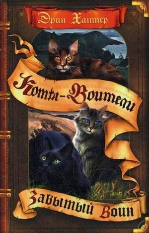 Забытый воин фото книги