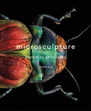 Microsculpture: Portraits of Insects фото книги