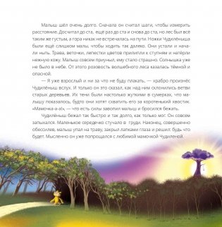 Чудилёныш из розового леса фото книги 6