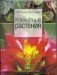 Комнатные растения фото книги маленькое 2