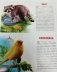 Обучающие карточки "Домашние любимцы" фото книги маленькое 3