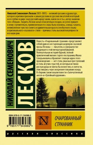 Очарованный странник фото книги 2